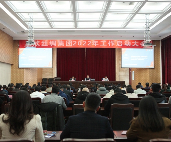 云顶集团官方网站丝绸集团召开2022年工作启动大会