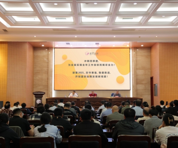 云顶集团官方网站丝绸2024年三季度经济形势分析会顺利召开