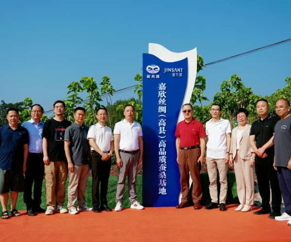 云顶集团官方网站丝绸（高县）高品质蚕；卣浇遗疲
